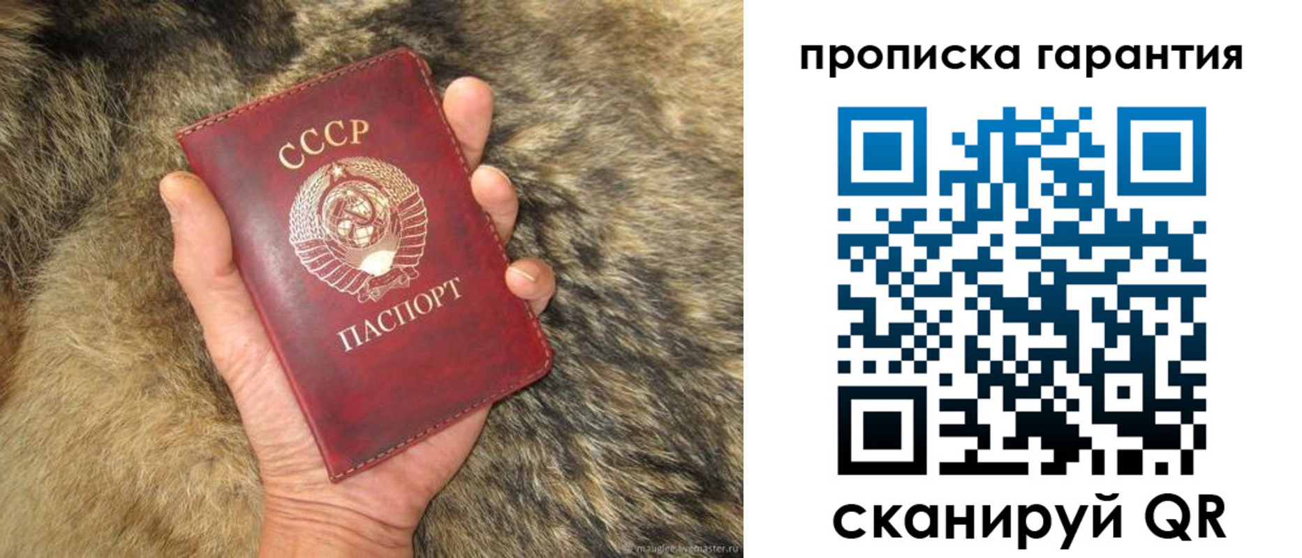прописка паспорт в Курчалом